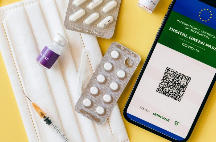 pexels photo 8830693 8830693